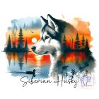 Siberian Husky T-shirt - Siberian Husky Shirt