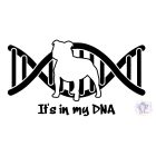 Staffordshire Bull Terrier T-shirt - Staffordshire Bull Terrier Shirt