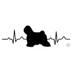Tibetan Terrier T-shirt - Tibetan Terrier Shirt