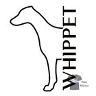 Whippet T-shirt - Whippet Shirt