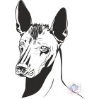 Xoloitzcuintli T-shirt - Xolo Shirt